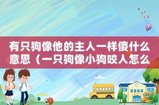 有只狗像他的主人一樣傻什么意思（一只狗像小狗咬人怎么定罪）