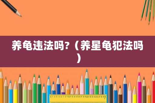 養龜違法嗎?（養星龜犯法嗎）