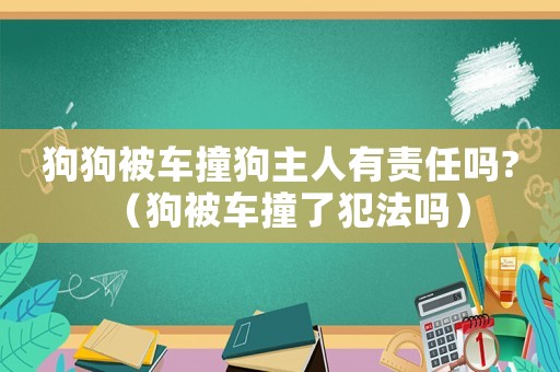 狗狗被車撞狗主人有責任嗎?（狗被車撞了犯法嗎）
