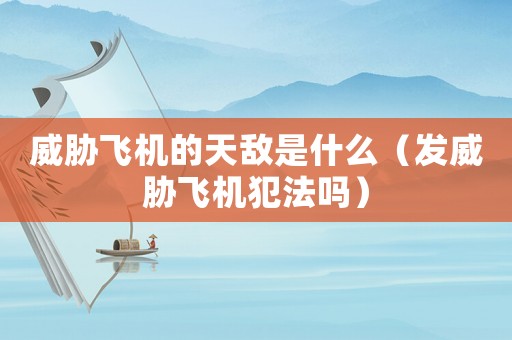 威脅飛機的天敵是什么（發威脅飛機犯法嗎）