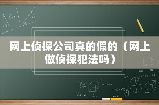 網(wǎng)上偵探公司真的假的（網(wǎng)上做偵探犯法嗎）