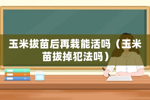 玉米拔苗后再栽能活嗎（玉米苗拔掉犯法嗎）