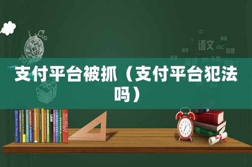 支付平臺被抓（支付平臺犯法嗎）