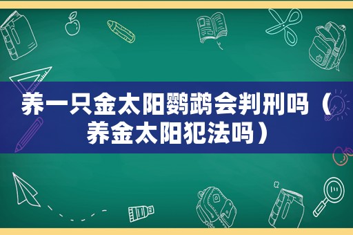 養(yǎng)一只金太陽鸚鵡會判刑嗎（養(yǎng)金太陽犯法嗎）