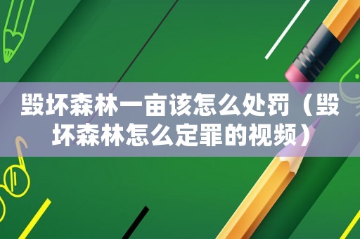 毀壞森林一畝該怎么處罰（毀壞森林怎么定罪的視頻）