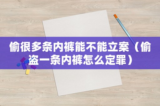 偷很多條內褲能不能立案（偷盜一條內褲怎么定罪）