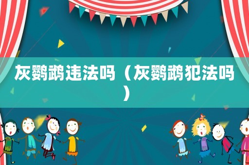 灰鸚鵡違法嗎（灰鸚鵡犯法嗎）