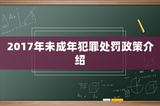 2017年未成年犯罪處罰政策介紹