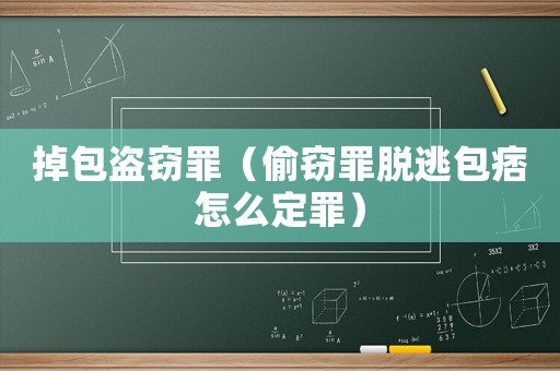 掉包盜竊罪（偷竊罪脫逃包痞怎么定罪）