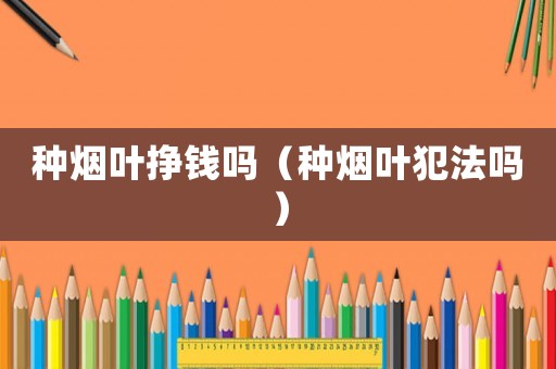 種煙葉掙錢嗎（種煙葉犯法嗎）