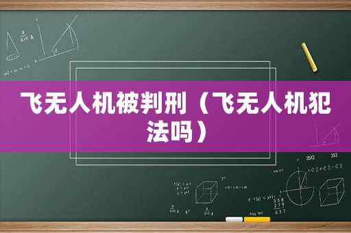 飛無人機被判刑（飛無人機犯法嗎）