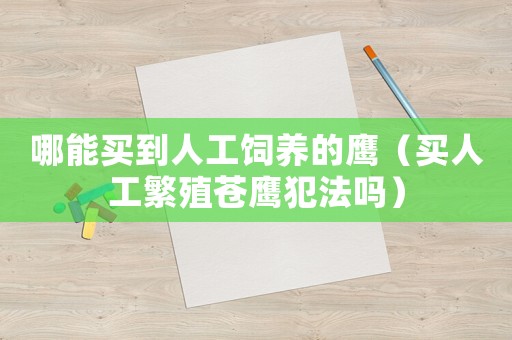 哪能買到人工飼養的鷹（買人工繁殖蒼鷹犯法嗎）