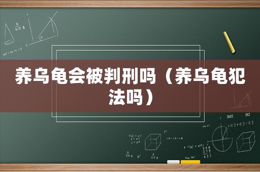 養(yǎng)烏龜會(huì)被判刑嗎（養(yǎng)烏龜犯法嗎）