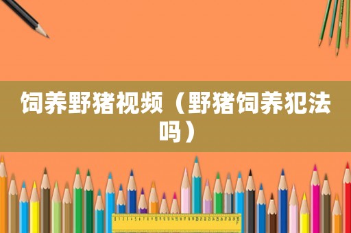 飼養(yǎng)野豬視頻（野豬飼養(yǎng)犯法嗎）