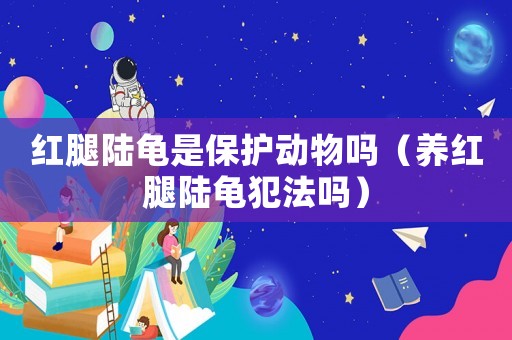 紅腿陸龜是保護(hù)動(dòng)物嗎（養(yǎng)紅腿陸龜犯法嗎）