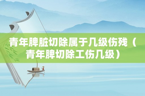 青年脾臟切除屬于幾級傷殘（青年脾切除工傷幾級）