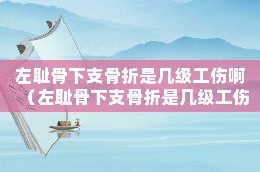 左恥骨下支骨折是幾級工傷啊（左恥骨下支骨折是幾級工傷）