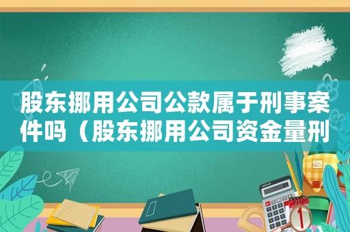 股東挪用公司公款屬于刑事案件嗎（股東挪用公司資金量刑）