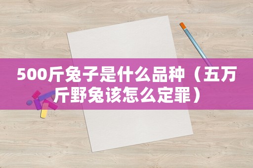 500斤兔子是什么品種（五萬斤野兔該怎么定罪）