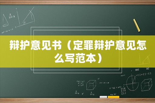 辯護(hù)意見書（定罪辯護(hù)意見怎么寫范本）