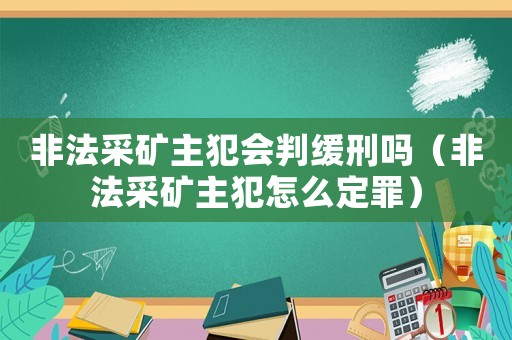 非法采礦主犯會判緩刑嗎（非法采礦主犯怎么定罪）