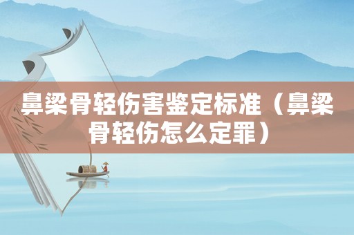 鼻梁骨輕傷害鑒定標準（鼻梁骨輕傷怎么定罪）
