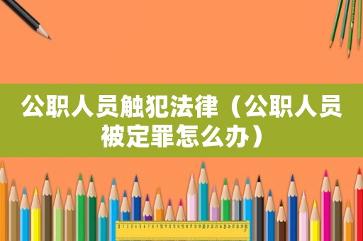 公職人員觸犯法律（公職人員被定罪怎么辦）