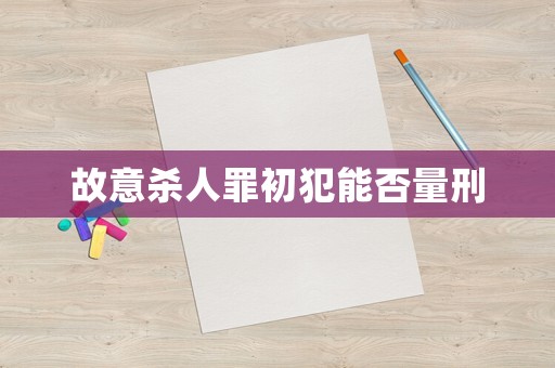 故意殺人罪初犯能否量刑