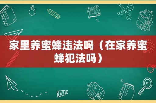 家里養(yǎng)蜜蜂違法嗎（在家養(yǎng)蜜蜂犯法嗎）