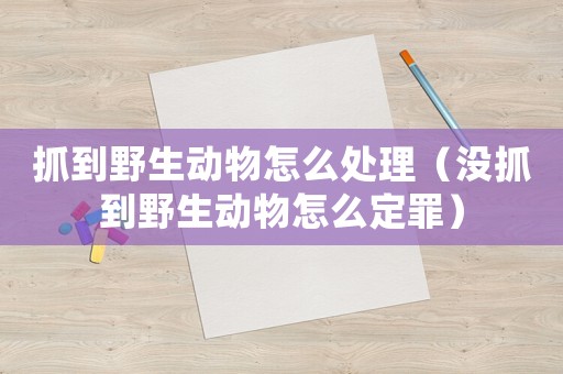 抓到野生動(dòng)物怎么處理（沒抓到野生動(dòng)物怎么定罪）