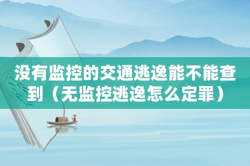 沒有監控的交通逃逸能不能查到（無監控逃逸怎么定罪）
