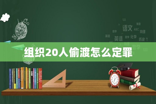 組織20人偷渡怎么定罪