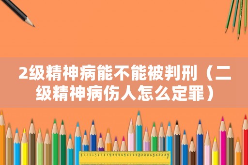 2級精神病能不能被判刑（二級精神病傷人怎么定罪）