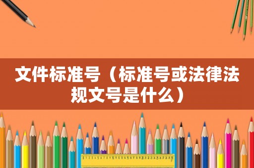 文件標準號（標準號或法律法規文號是什么）