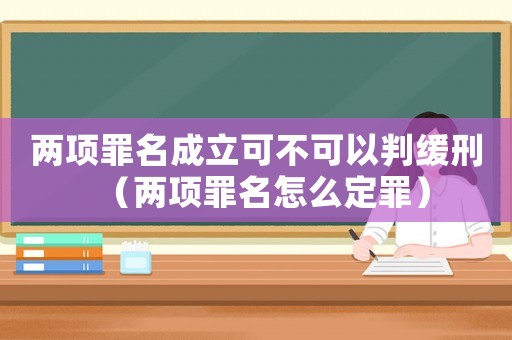 兩項罪名成立可不可以判緩刑（兩項罪名怎么定罪）