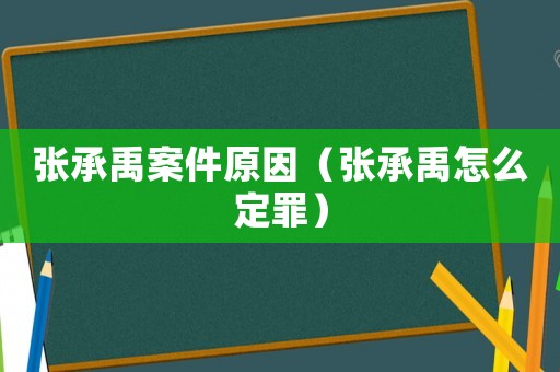 張承禹案件原因（張承禹怎么定罪）