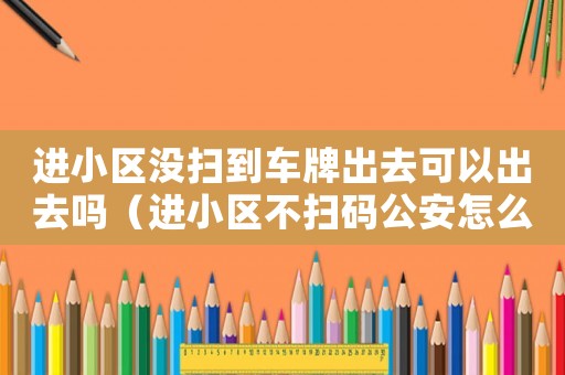 進小區沒掃到車牌出去可以出去嗎（進小區不掃碼公安怎么定罪）
