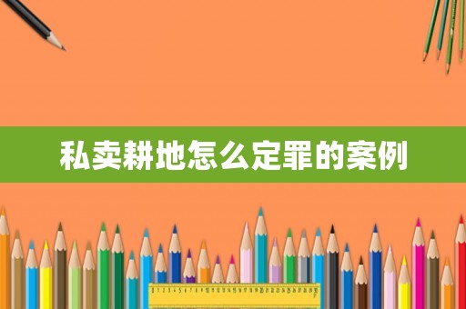 私賣耕地怎么定罪的案例