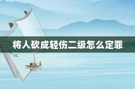 將人砍成輕傷二級怎么定罪