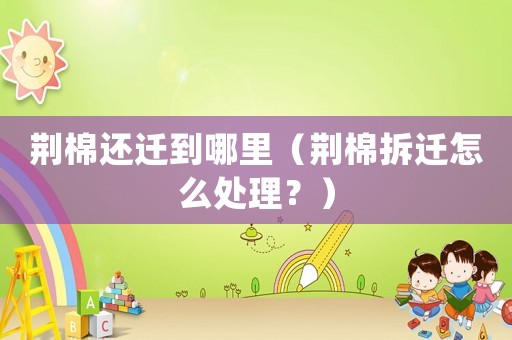 荊棉還遷到哪里（荊棉拆遷怎么處理？）