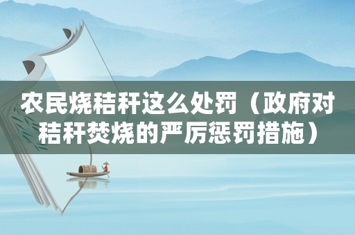 農民燒秸稈這么處罰（政府對秸稈焚燒的嚴厲懲罰措施）