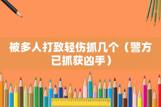 被多人打致輕傷抓幾個(gè)（警方已抓獲兇手）