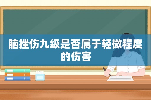腦挫傷九級是否屬于輕微程度的傷害