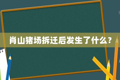 肖山豬場拆遷后發生了什么？