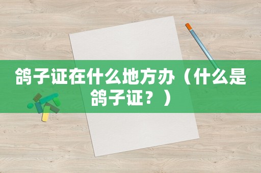 鴿子證在什么地方辦（什么是鴿子證？）