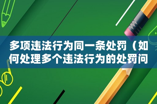 多項違法行為同一條處罰（如何處理多個違法行為的處罰問題）