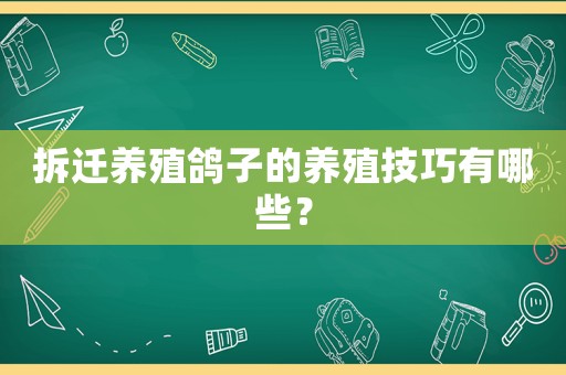 拆遷養(yǎng)殖鴿子的養(yǎng)殖技巧有哪些？