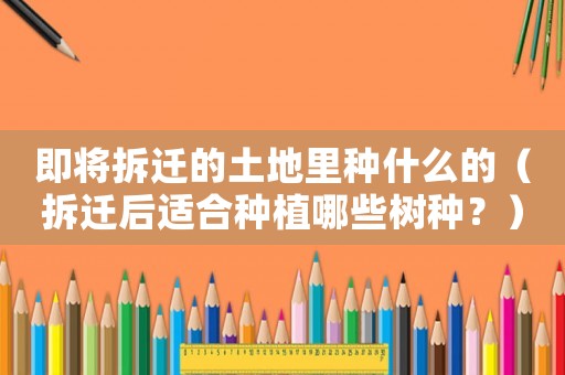 即將拆遷的土地里種什么的（拆遷后適合種植哪些樹種？）
