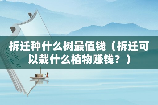 拆遷種什么樹(shù)最值錢(qián)（拆遷可以栽什么植物賺錢(qián)？）