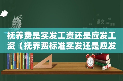 撫養(yǎng)費(fèi)是實(shí)發(fā)工資還是應(yīng)發(fā)工資（撫養(yǎng)費(fèi)標(biāo)準(zhǔn)實(shí)發(fā)還是應(yīng)發(fā)）